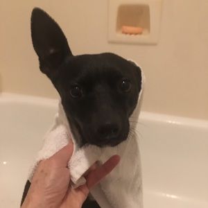 Meet your Posher, Patty